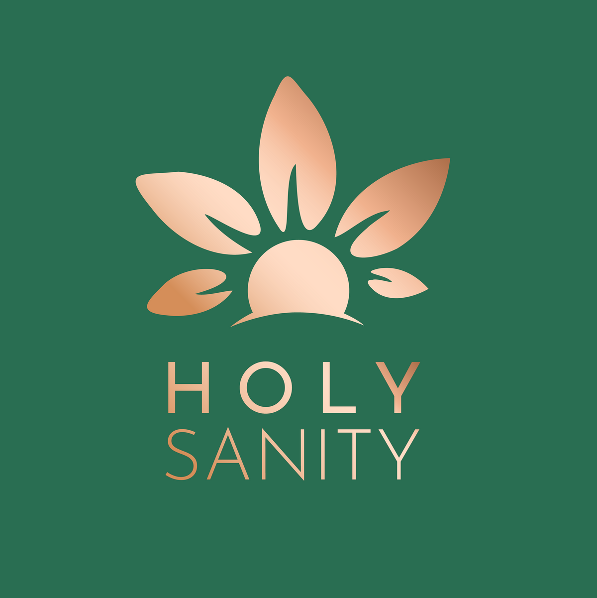 Holy Sanity